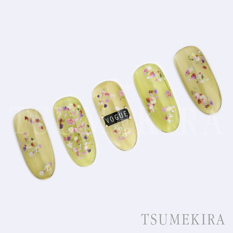 NN-TSU-001