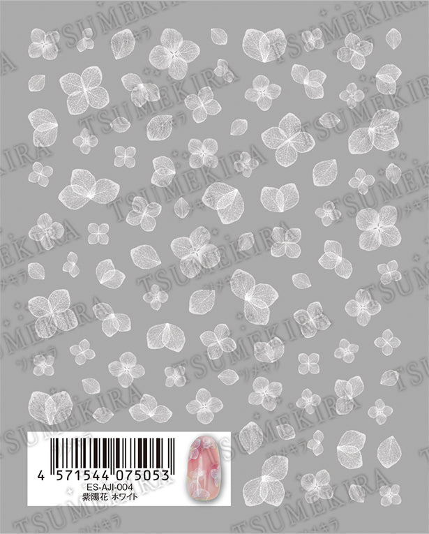 ES-AJI-004