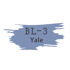 RandB Colour Gel 色膠