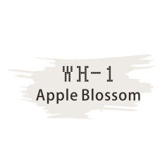 RandB Colour Gel 色膠