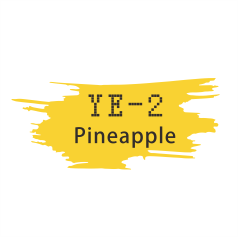 RandB Colour Gel 色膠