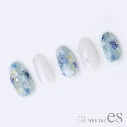 ES-AJI-004