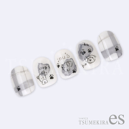 ES-PIO-001