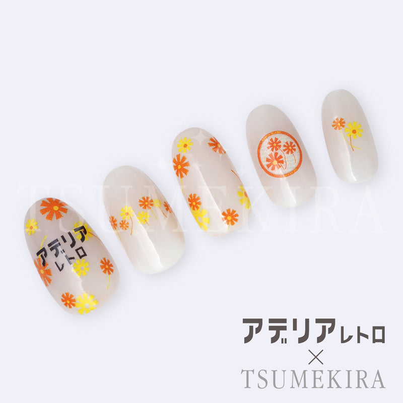 NN-ADE-001