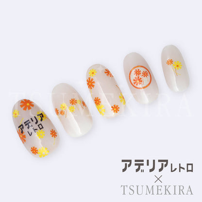 NN-ADE-001