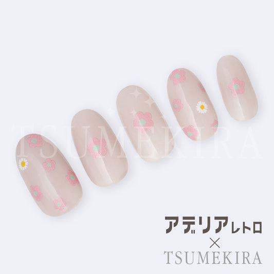 NN-ADE-002