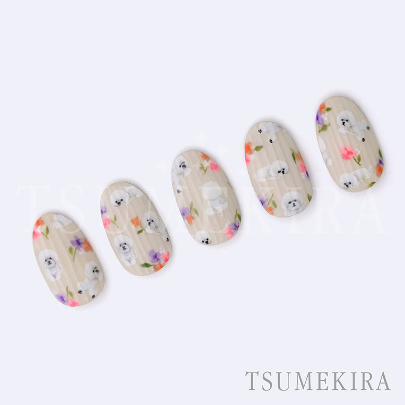 NN-SAK-008