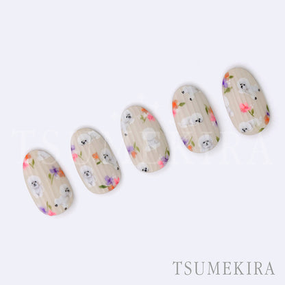 NN-SAK-008