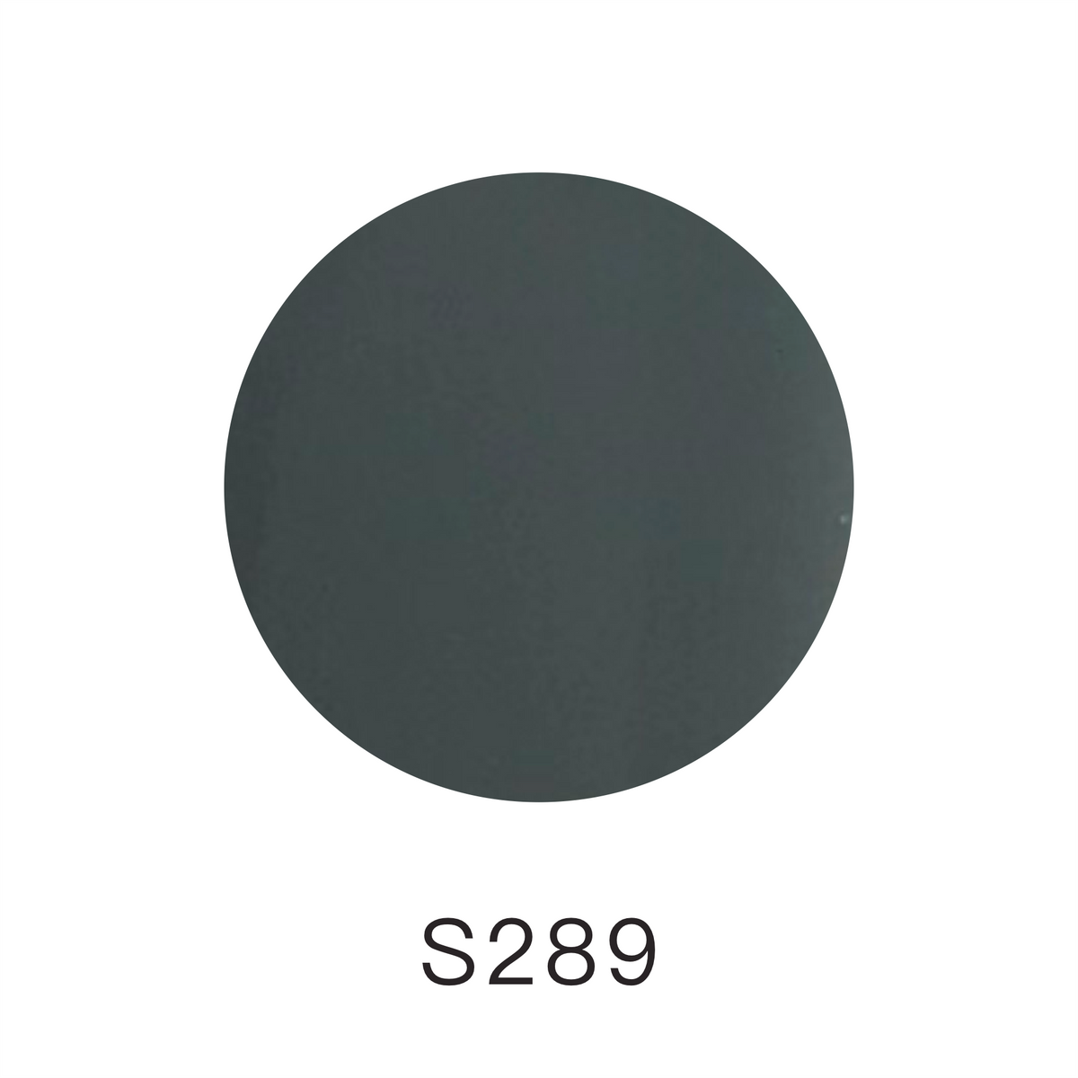 Presto Color Gel Polish S101-S300