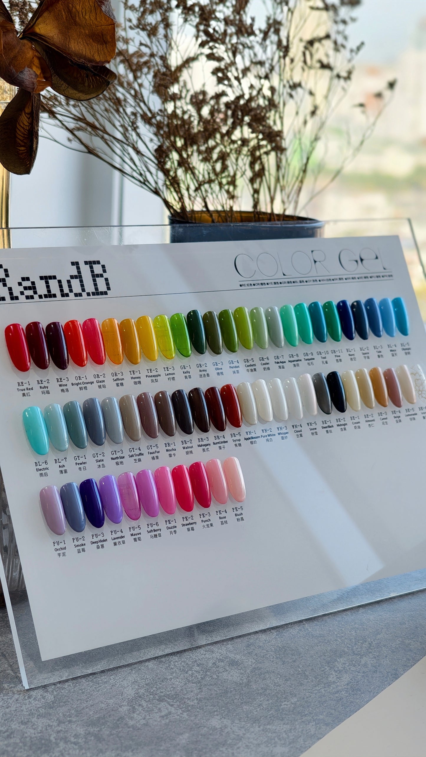 RandB Colour Gel 色膠