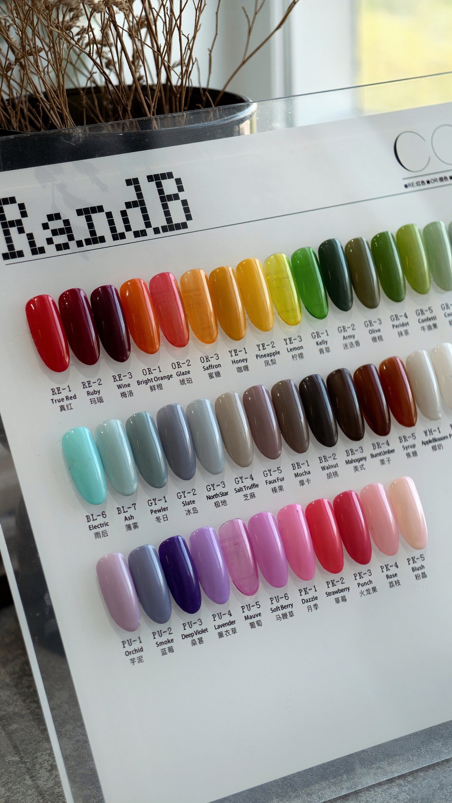 RandB Colour Gel 色膠