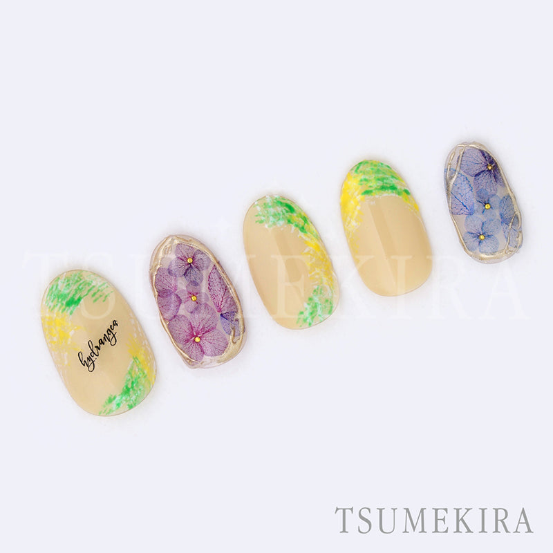 NN-AJI-003